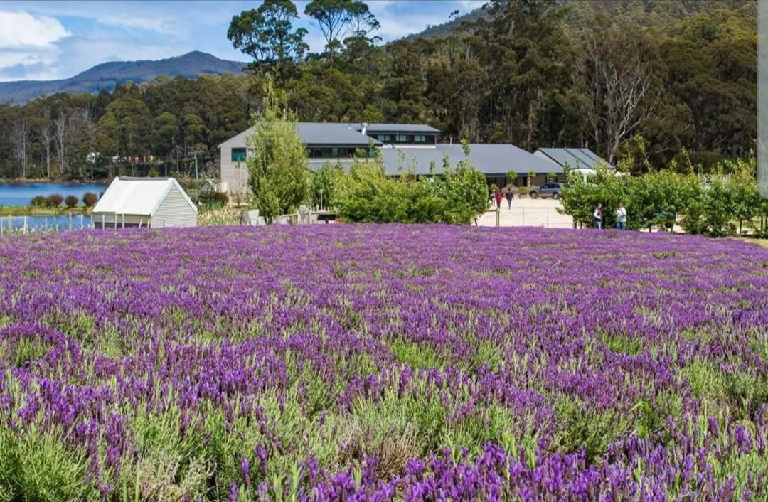 Ruby'S Cottage Farm Stay Port Arthur Exterior foto